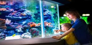 Aquarium Maintenance by Aquatech Aquarium Service in Culver City, CA