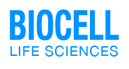 Biocell announces it received positive PCT International search opinions for its patent applications for OBX and OPX