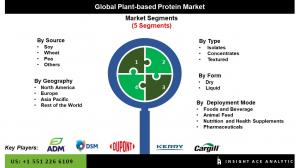 Plant-based Protein Market Segments