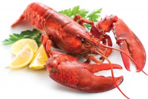 Lobster Market