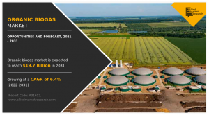 Organic Biogas Market