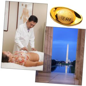Chinese medical theory, gold rush, politics . . . elements in Wuxia America.