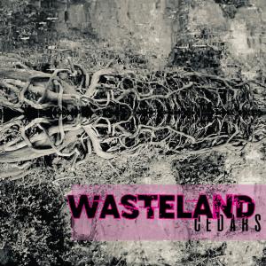 New Single Wasteland by Cedars