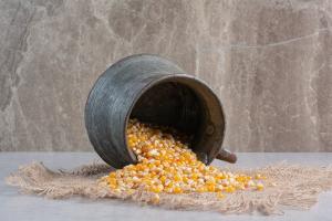 Corn Wet Milling Market
