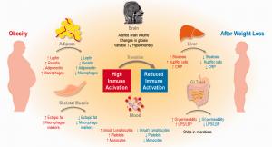 Weight Loss and Obesity Market 2023