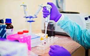 In Vitro Diagnostics (IVD) Market Analysis