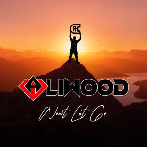 ALIWOOD - Won't Let Go