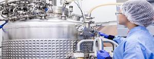 Bioprocess Validation Market Analysis