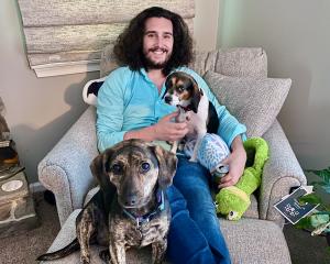 Man reclining with two dogs at home in Vermont