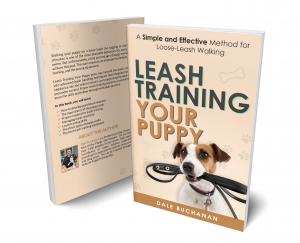 Leash Training Your Puppy