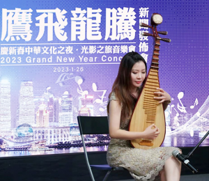 famous Pipa Musician Yinfang Jing
