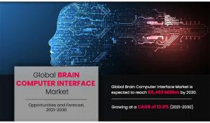 Brain Computer Interface Market Value