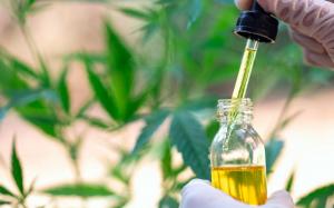 7 Potential Health Benefits of CBD Oil - Leafy8