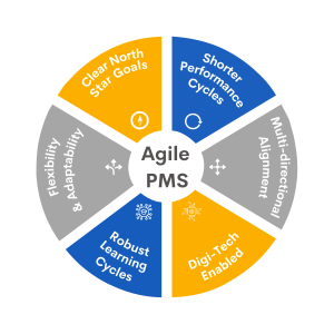 Agile Performance Management System
