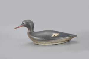 Exceptional Swimming Merganser Decoy
