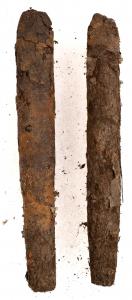 Two of the 37 Cuban cigars recovered from the 1857 sinking of the fabled “Ship of Gold,” the S.S. Central America, that will be offered by Holabird Western Americana Collections in auctions on March 4 and 5, 2023. (Photo credit: Holabird Western Americana