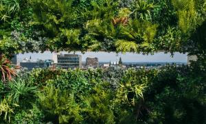 Edinburgh Roof Garden
