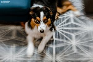 Lensbaby Double Glass II with Composer Pro II - Annick Paradise