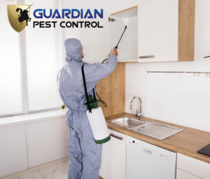 Guardian Pest Control_4