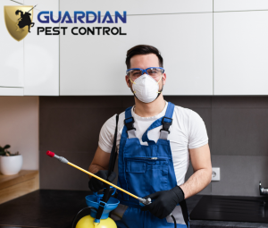 Guardian Pest Control_5