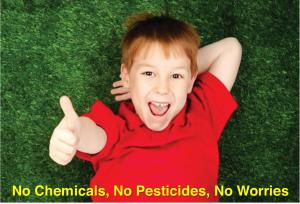 Organic Lawn Application Service, Organic Lawn Care, Natural Lawn Care