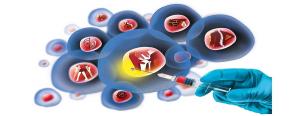 Stem Cell Therapy Market Analysis 2