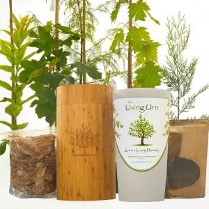 Living Urn