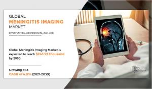 Meningitis Imaging Market Size