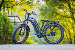 electric cruiser bike