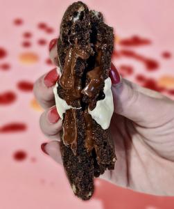a photo of a hand holding a cookie