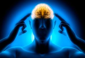 The brain travels to the future.