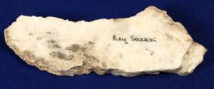 High-grade gold ore slab from the Hishikari Gold Mine in southern Japan, long at 6 inches by 2 inches, weighing 249 grams ($1,000). In 2008 Hishikari was Japan’s only operating gold mine.