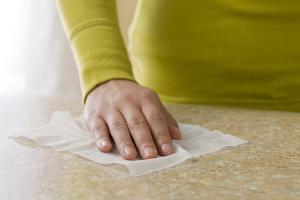 Household Wipes Market
