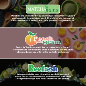 3 fragrances to choose from: MatchaJuana, Peach by the Gram, and Reefresh