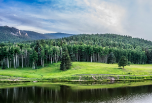 Clean green landscape