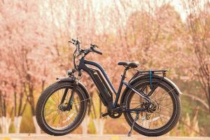Cruiser Ebike with Great Performance