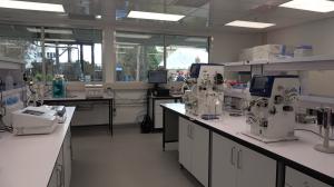 BioViros, a full-service CDMO (Contract Development and Manufacturing Organization), specializing in lentiviral vectors for cell and gene therapy announces the opening of its state-of the-art laboratory in New Zealand
