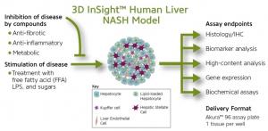 3D InSight NASH Model Overview