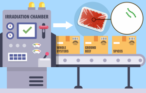 Food Irradiation Service Market