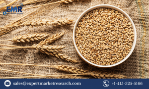 Wheat Market