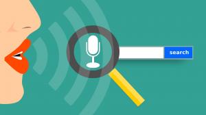 Rhino Web Studios Voice Search