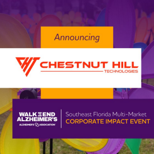 Chestnut Hill Technologies - technology consulting services