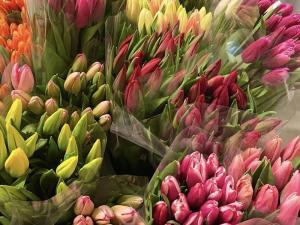 Flowers to express appreciation, respect and support for the rights of the women of their cities