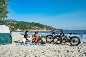 carbon fiber 1000 w fat tire ebike