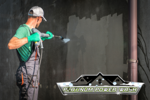 Platinum Power Wash 6