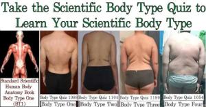 Genetic Scientific Body Type Quiz Results - Body Type One (BT1), Body Type Two (BT2), Body Type Three (BT3), & Body Type Four (BT4) Compared to the Genetic Scientific Standard Body Type One