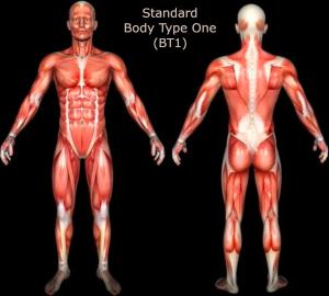 Genetic Scientific Standard Body Type One (BT1), the Only Body Type Recognized and Accepted By Mainstream Science & Medical Doctors