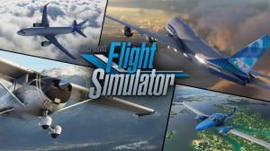 Flight Simulator