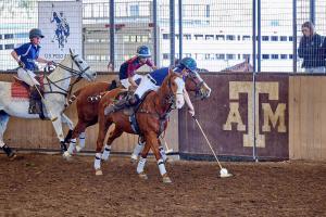 two high school arena polo players ride their horses while trying to score a goal