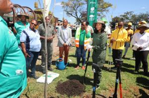 MEC Hlophe, members from Scientology and Joburg City Parks and Zoo planting trees.